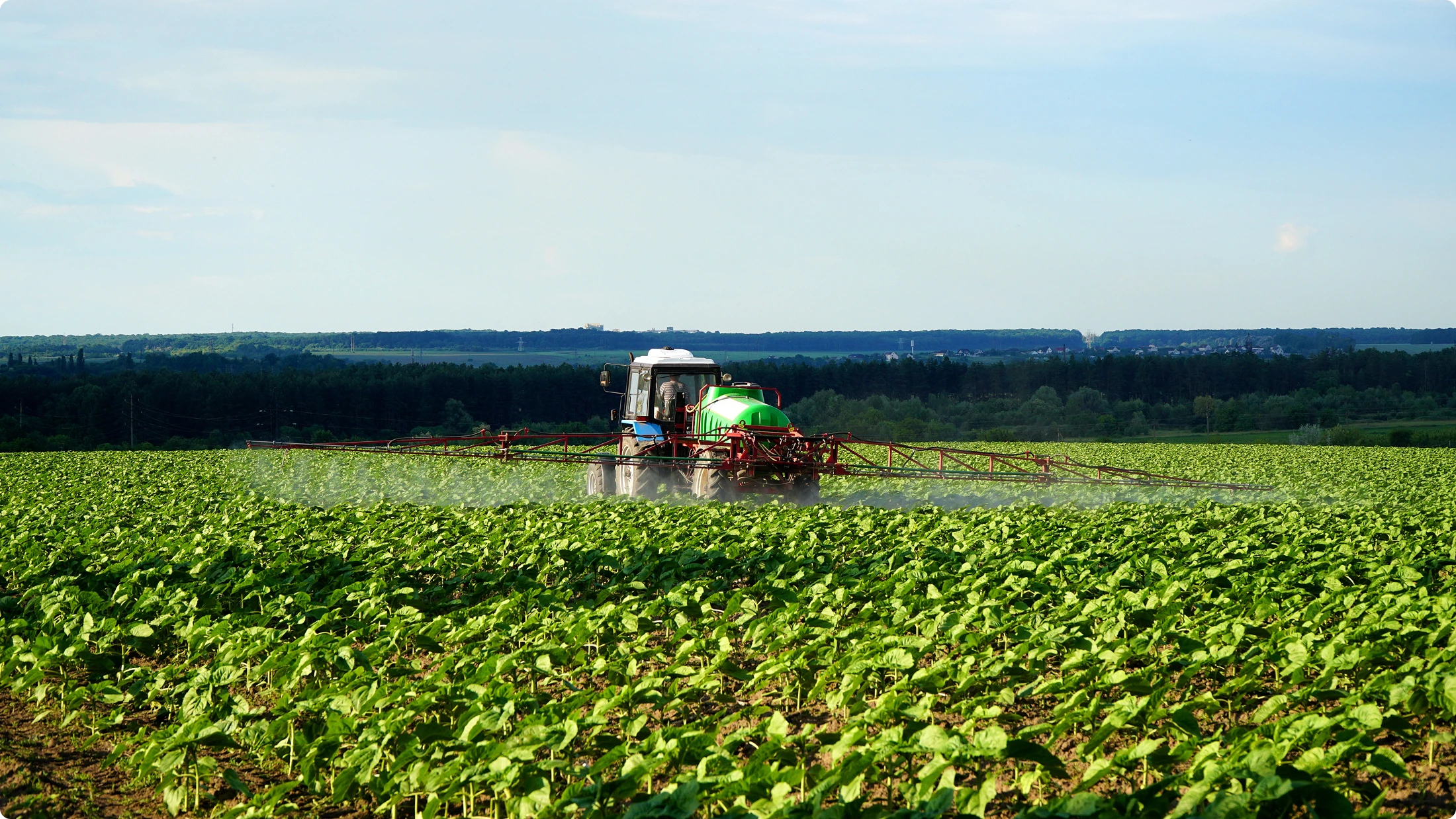 Tractor spraying crop rows